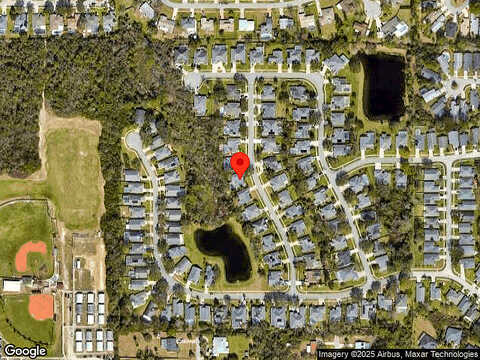 Falling Tree, PORT ORANGE, FL 32127