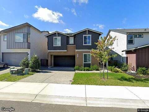 Hibiscus, PORT ORCHARD, WA 98367