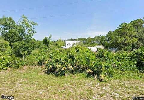Chinaberry, EUSTIS, FL 32736