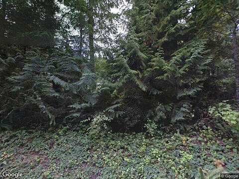 Leaf, SHELTON, WA 98584