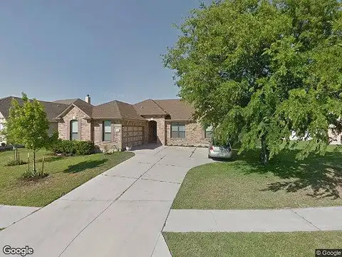 Pencil Cactus, PFLUGERVILLE, TX 78660
