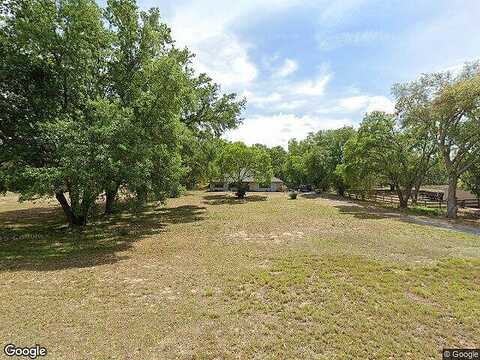 Arabian, MONTVERDE, FL 34756