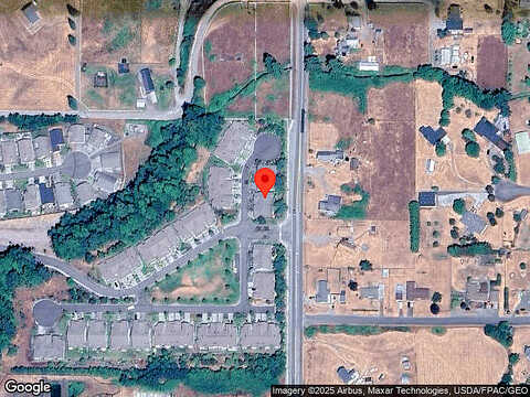Goldenrod, SEQUIM, WA 98382