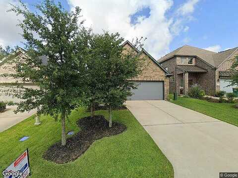 Andes, MONTGOMERY, TX 77316