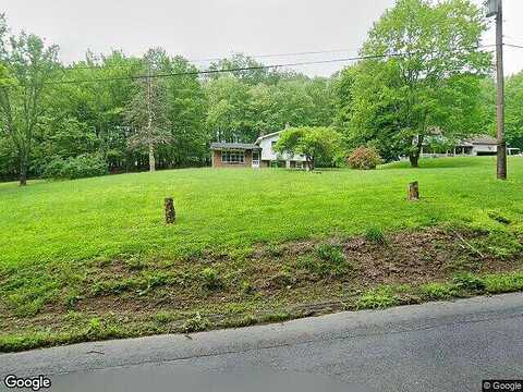 White Birch, ORWIGSBURG, PA 17961