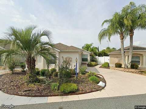 Buster, THE VILLAGES, FL 32162