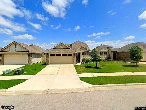 Arabian Colt, GEORGETOWN, TX 78626
