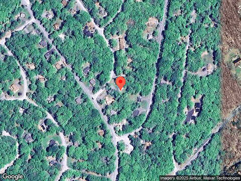 Indian Pipe, MILFORD, PA 18337
