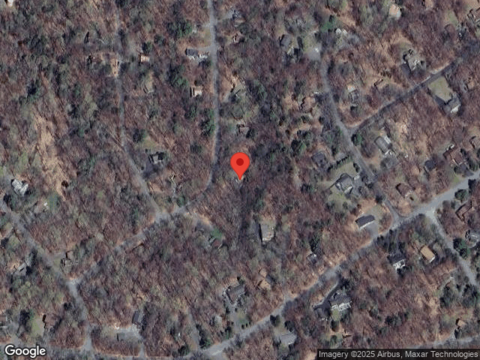 Ruffed Grouse, GREENTOWN, PA 18426