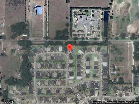Silver Maple, OXFORD, FL 34484