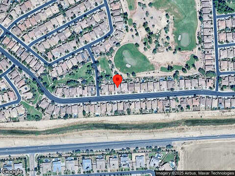 Ficus, GILBERT, AZ 85298