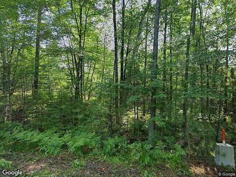 Pickerel Point, EAGLE RIVER, WI 54521