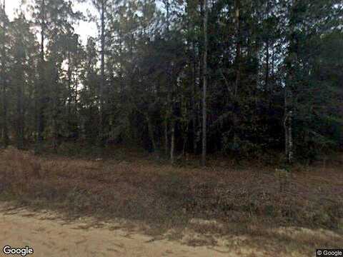 Kendricks, BROOKLET, GA 30415