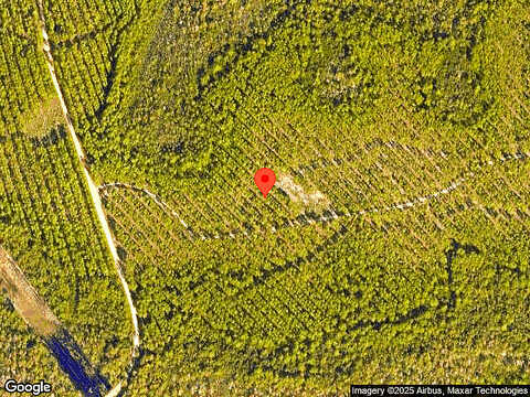 Bunting Ln, Inlet Beach, FL 32461