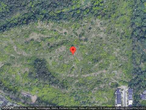 49Th, CAMAS, WA 98607