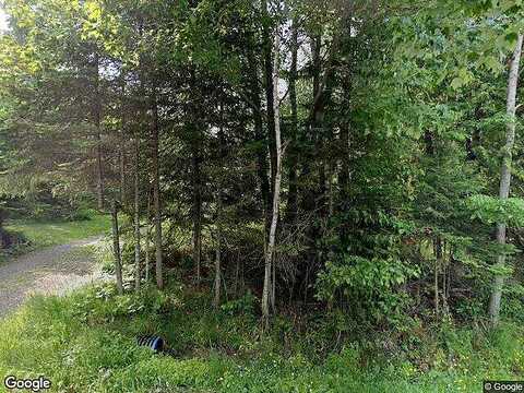 Elm, CORNUCOPIA, WI 54827