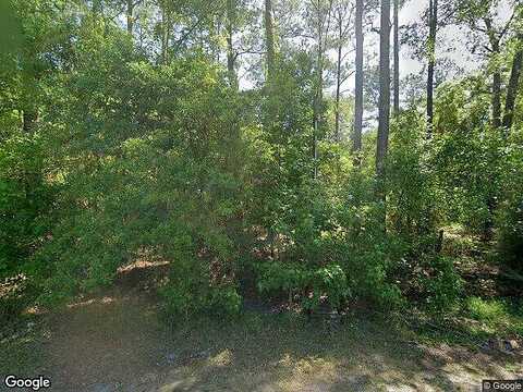 Pine Tree, PALATKA, FL 32177