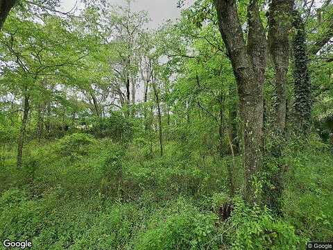 120Th Avenue, REDDICK, FL 32686
