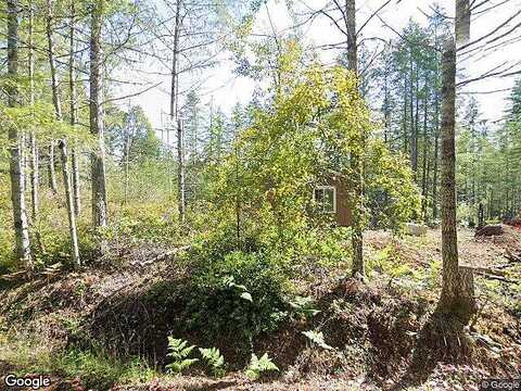 Ne Hurd Road, Belfair, WA 98528