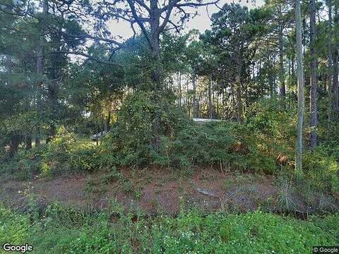 N County Hwy 393, Santa Rosa Beach, FL 32459