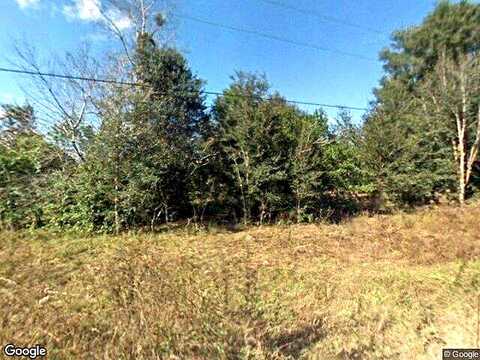 Se 34Th Terrace, Summerfield, FL 34491