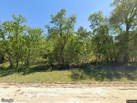 Ne 10Th Street, Williston, FL 32696