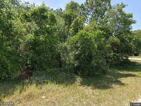 Se 124Th Place, Belleview, FL 34420