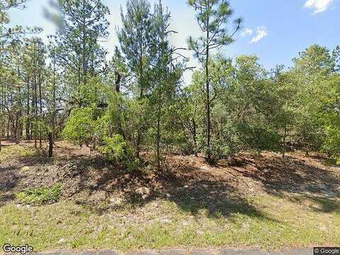 N Spaulding Drive, Dunnellon, FL 34433