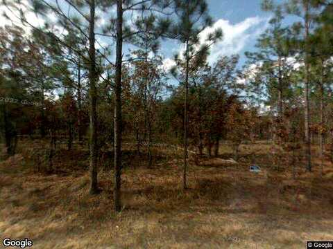 Nw Holly Rd, DUNNELLON, FL 34431