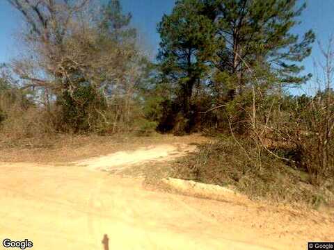 Statesboro, SYLVANIA, GA 30467