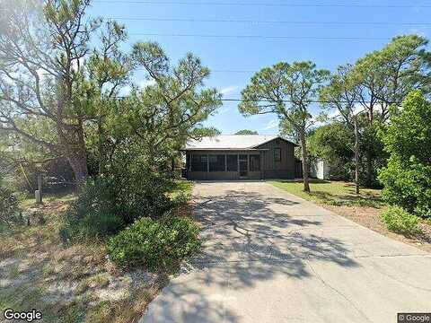 Alligator, PANACEA, FL 32346