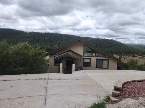 Coyote, PINE, AZ 85544