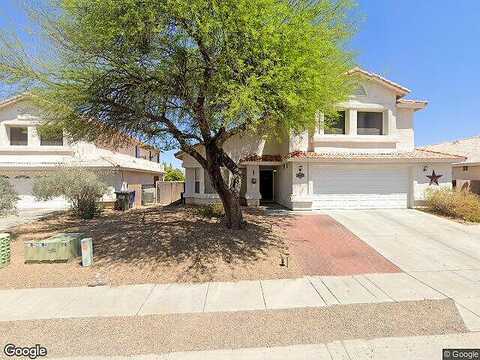 Goldenweed, TUCSON, AZ 85748