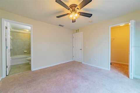 Maisie, ZEPHYRHILLS, FL 33542