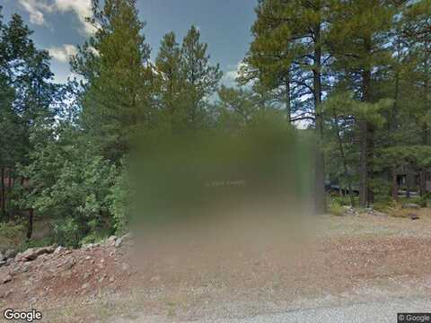 Raintree, MUNDS PARK, AZ 86017