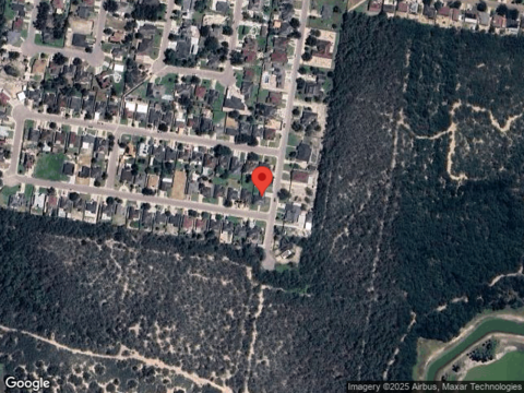 Ficus, LA JOYA, TX 78560