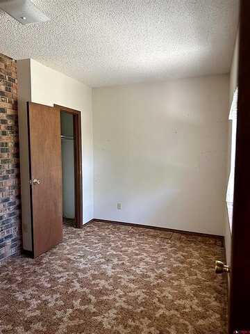Willow Wood, DELTA, CO 81416