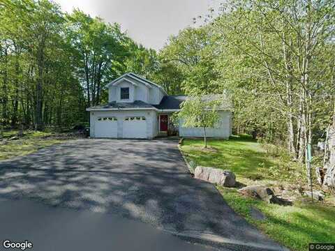 Black Bear, TOBYHANNA, PA 18466