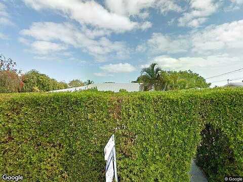 Warbler, BIG PINE KEY, FL 33043