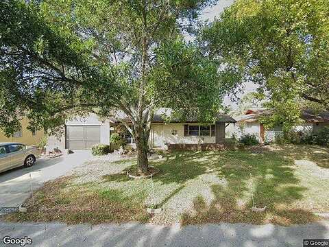 Hachita, PORT RICHEY, FL 34668