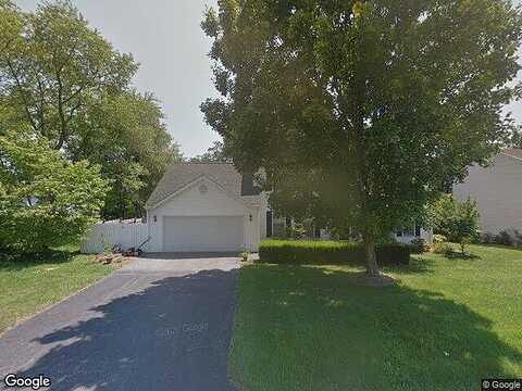 Chestnut, BLACKSBURG, VA 24060