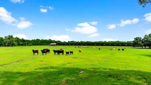 Kinsey, MONTICELLO, FL 32344