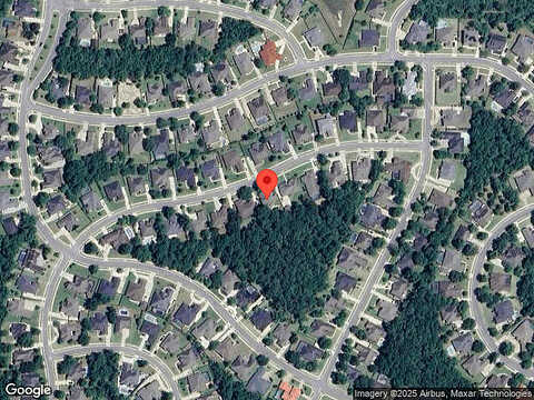 Dahoon, PENSACOLA, FL 32526