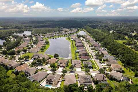 Hobblebrush, NORTH PORT, FL 34289