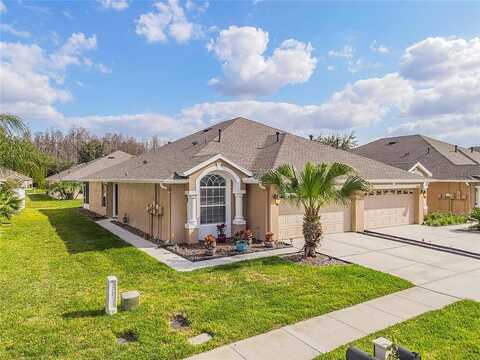 Torrance, LAND O LAKES, FL 34638