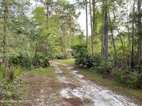 Flatwoods, MIMS, FL 32754