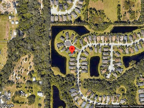 Caladium, BRADENTON, FL 34212
