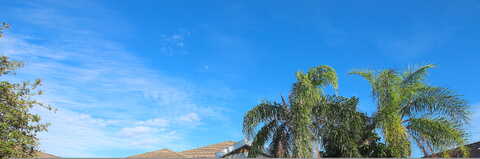 Canna, PORT ORANGE, FL 32128