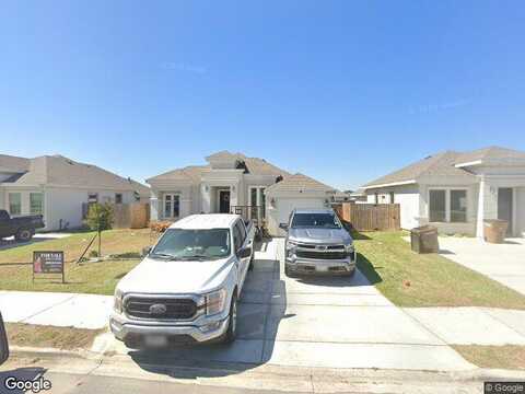 Sugar Bear, EDINBURG, TX 78541