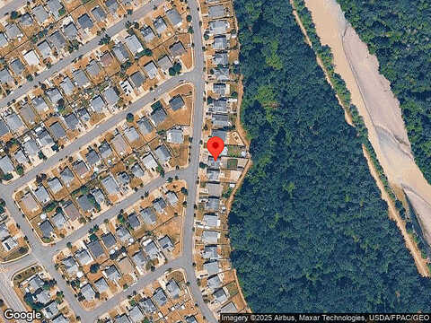 Daffodil, ORTING, WA 98360